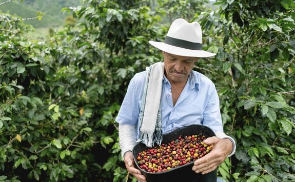 Coffee farmers with beans