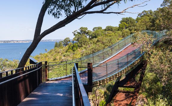 Bridge in Perth - Kings Park