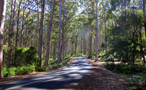 Roads in Margaret River