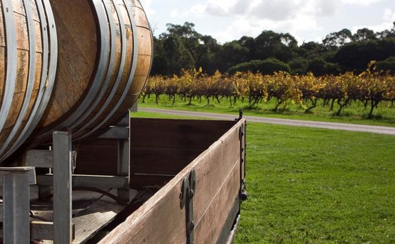 Wine barrels