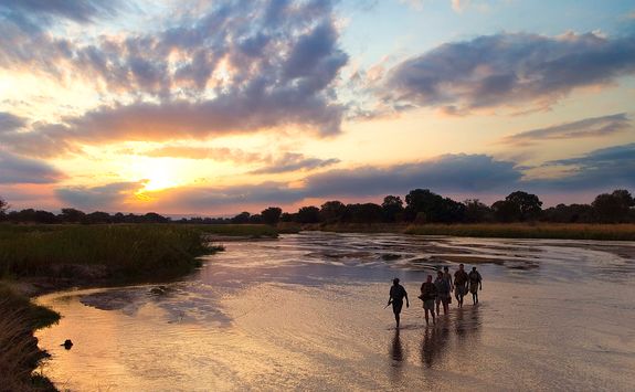 Walking safari at dusk