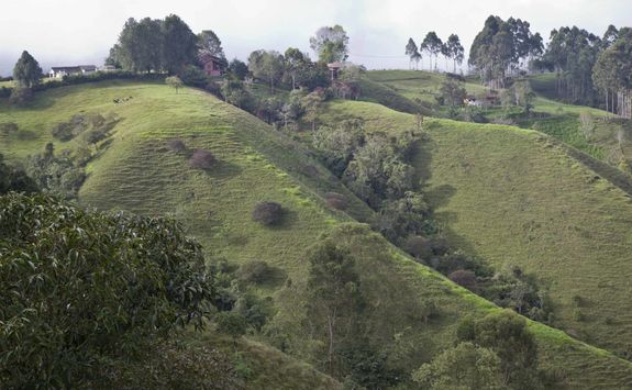 The green hills of Armenia