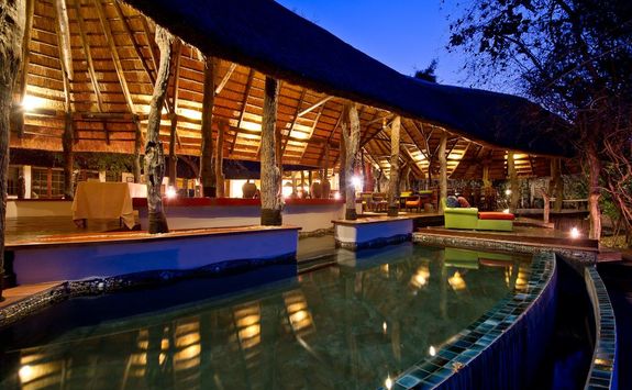 Lion Camp pool