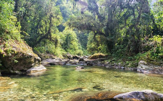Lagoon in Tayrona National Park