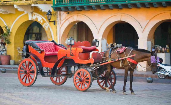 Horse drawn carriage