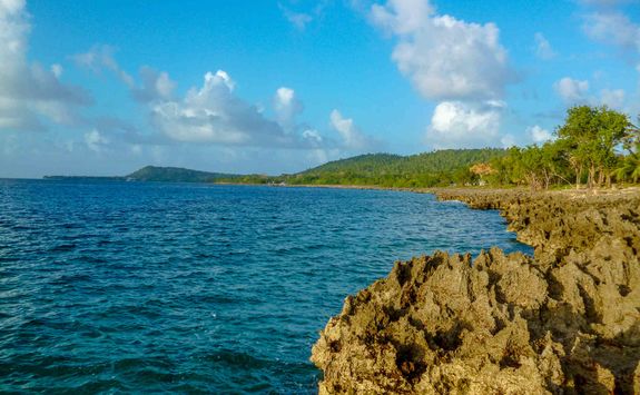 Coral reef off San Andres