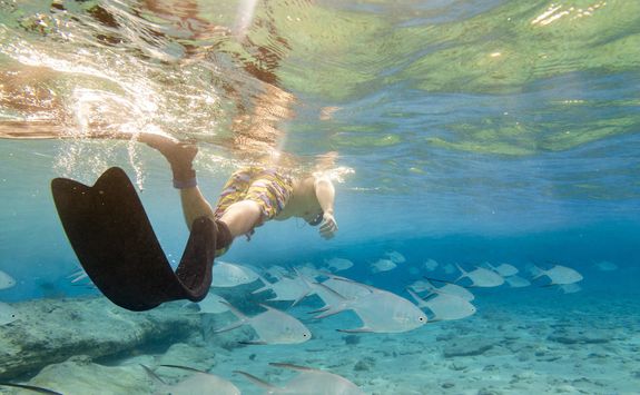 Snorkelling off San Andres