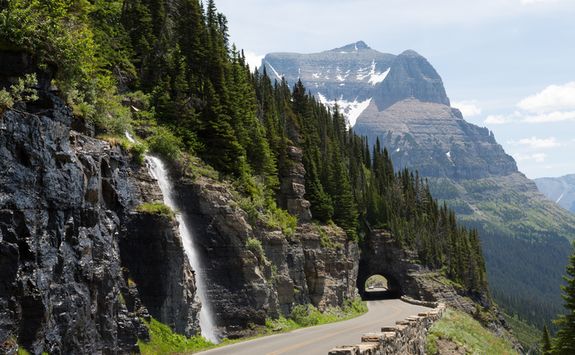 Waterfalls in Forest Glacier National Park