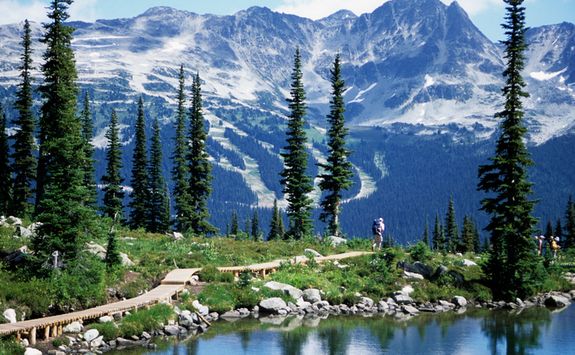 Snowy mountains in Whistler