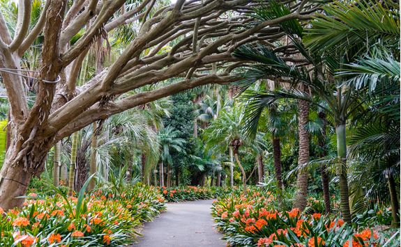 Botanical Gardens Sydney
