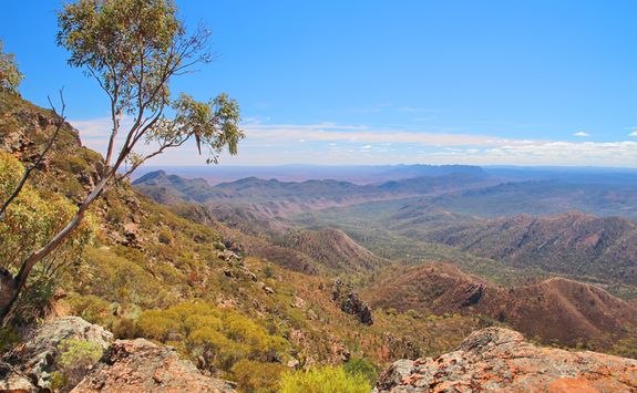 Flinders Range