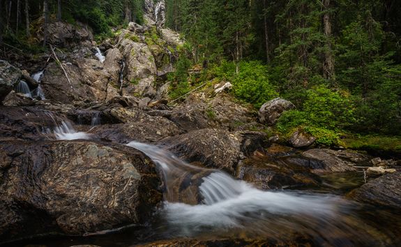 Silver tip falls