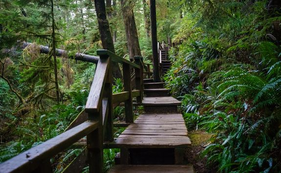 Ucuelet stairs on Vancouver Island