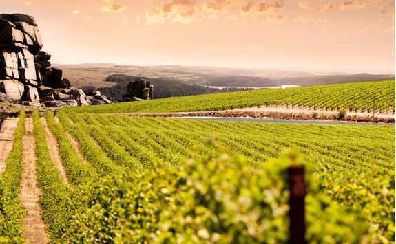 Barossa Valley