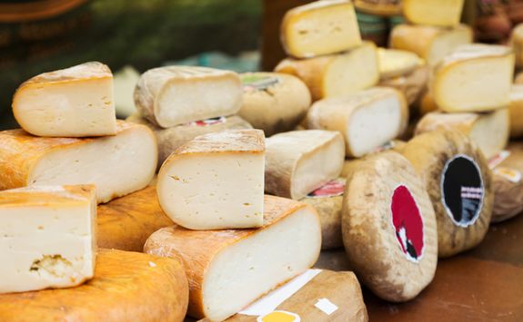Various sorts of cheese
