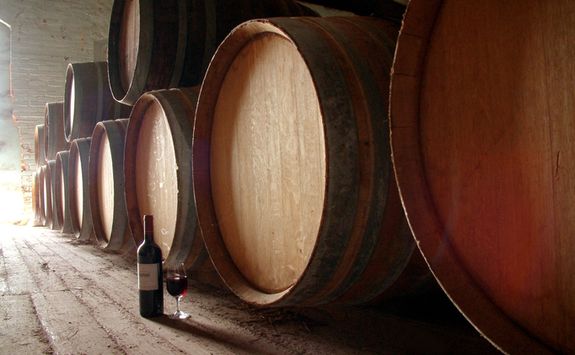 wine barrels and wine