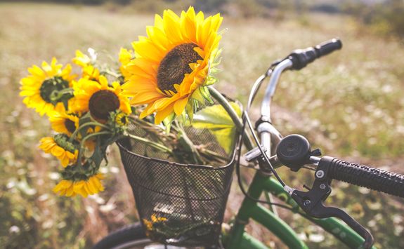 A bike with sunflowers in the basket