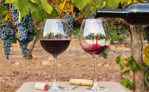 Glasses filled with wine