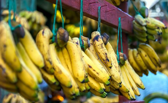Banana's in the market