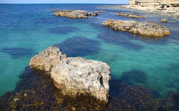 Rocky shore