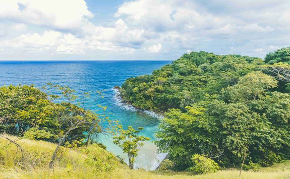 Jamaican coastline