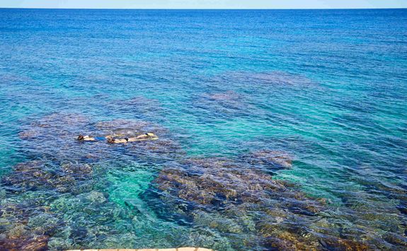 Snorkelling at GoldenEye