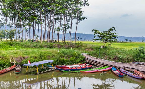 Fishing boats