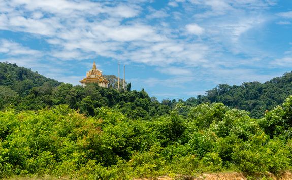 A Temple surrounded by Trees