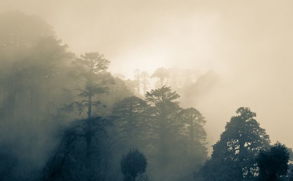 Misty skies