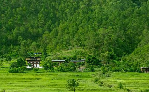 Amankora Punakha