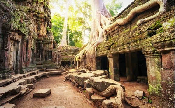 A tree's roots growing over a temple