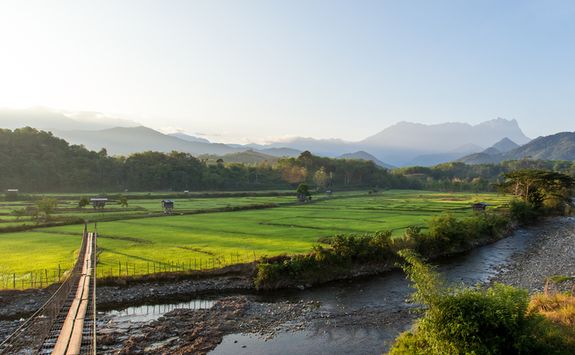 Bridge to a Paddy Field