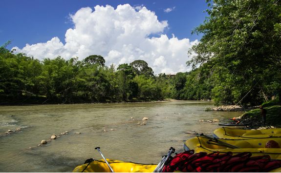 Rafts on a River