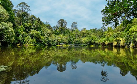 An Oxbow Lake