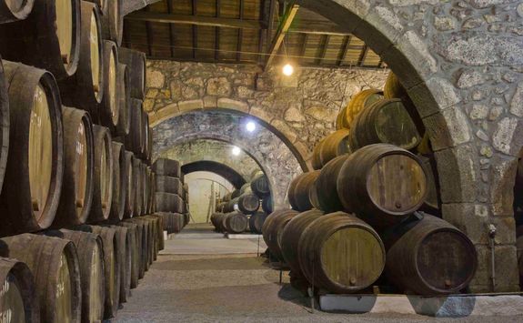 Porto barrels in a cellar
