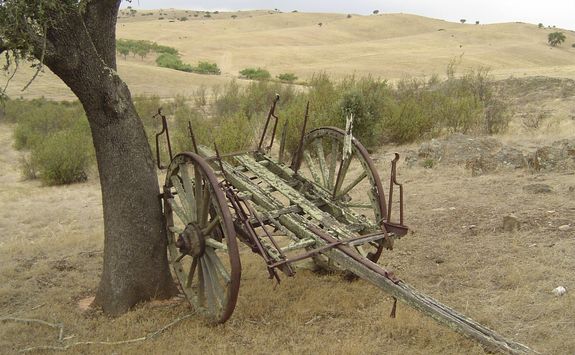 Old wagon