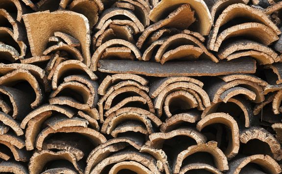 stacks of wood