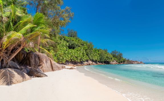 a typical white sandy beach in the Seychelles