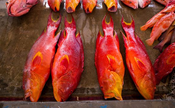 A local fish market