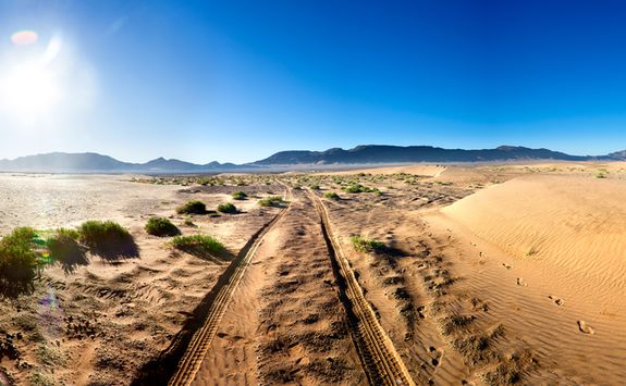 Desert landscape