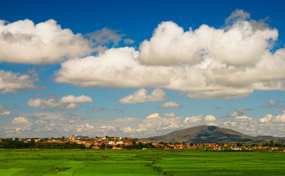 Rice fields around Antananarivo
