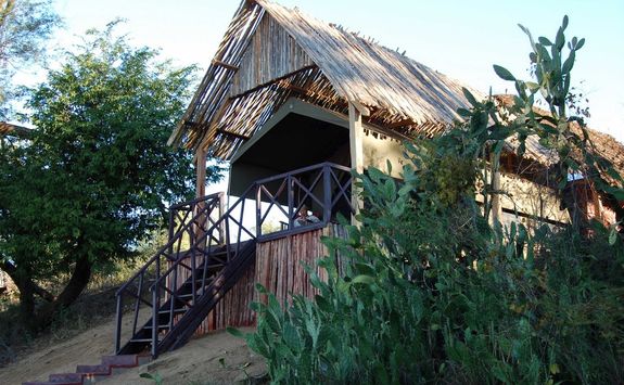 Mandrare River Camp tent