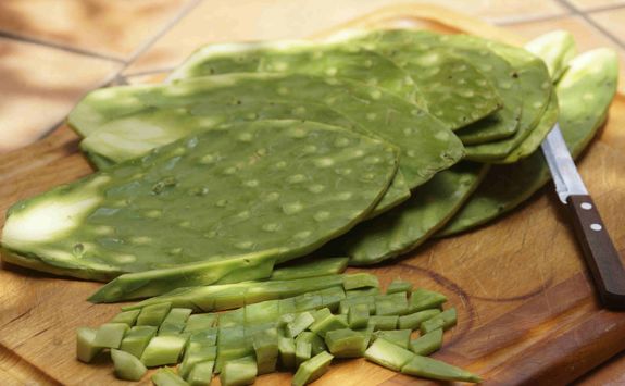 nopal mexican food