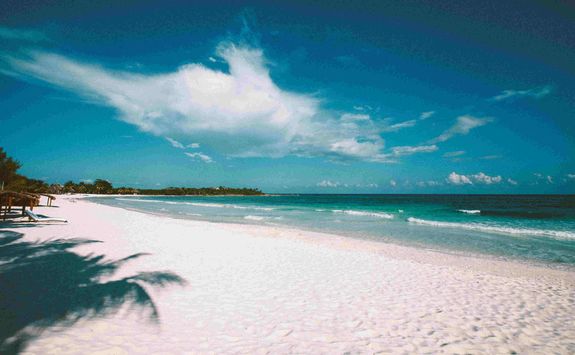 the beach at hotel esencia