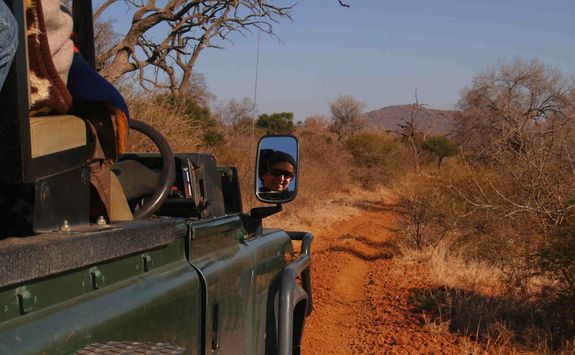 Safari vehicle in Madikwe