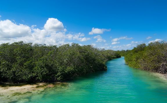 sian ka'an biosphere reserve