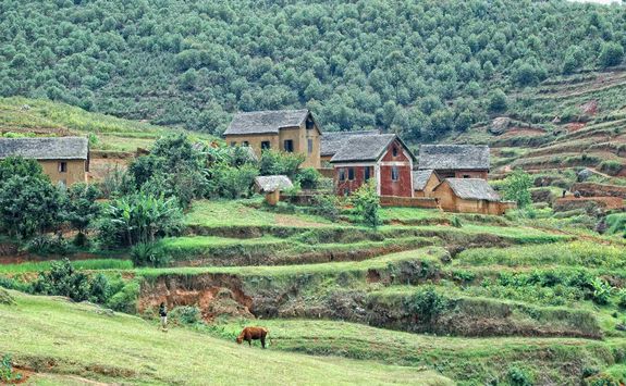 Madagascan countryside