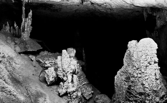 Bats in Mandresy Cave