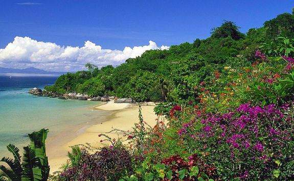 Beach view and gardens