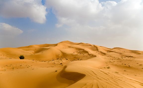 The Omani desert